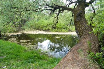 Mestský park Lanice Mestský park Lanice